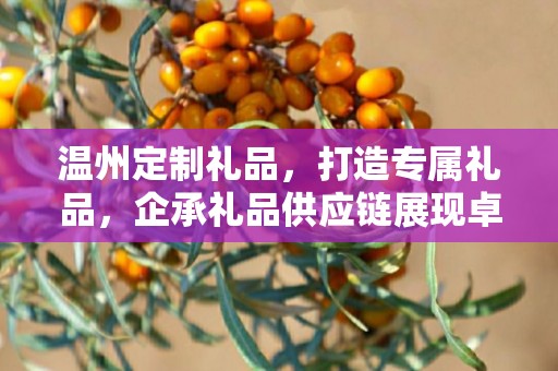 温州定制礼品，打造专属礼品，企承礼品供应链展现卓越服务
