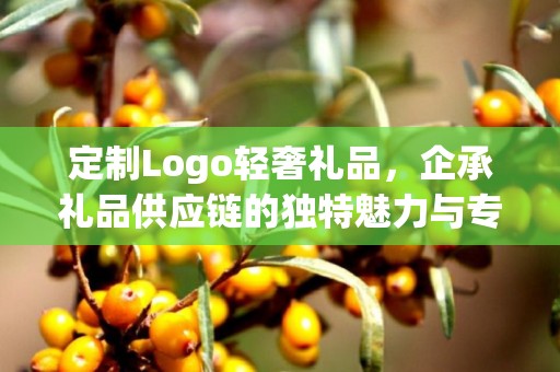 定制Logo轻奢礼品，企承礼品供应链的独特魅力与专属定制体验